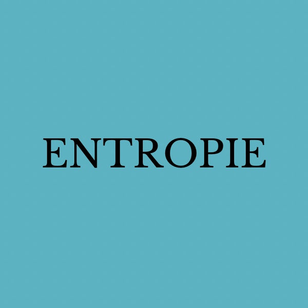 Entropie